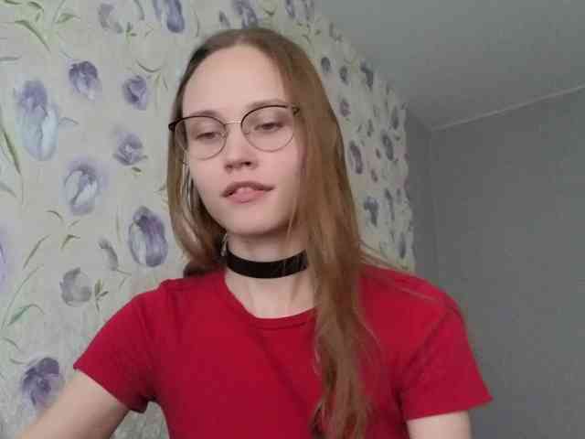 Armura webcam