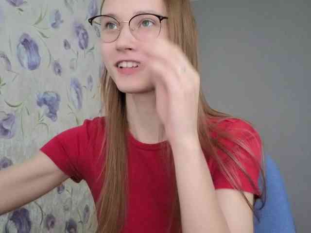 Armura webcam