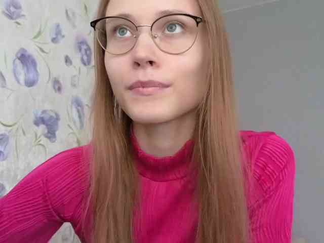 Armura webcam