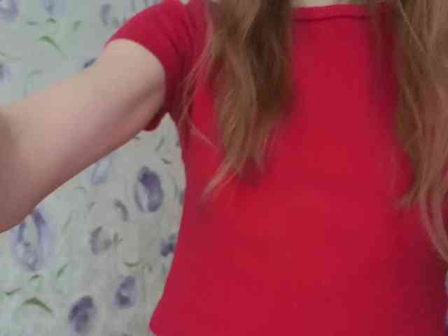 Armura webcam