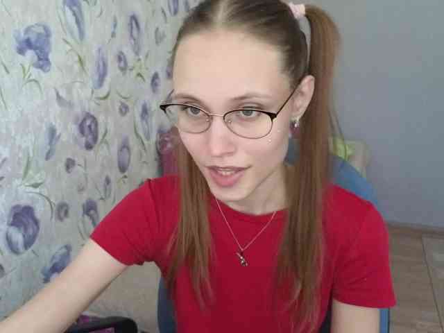Armura webcam