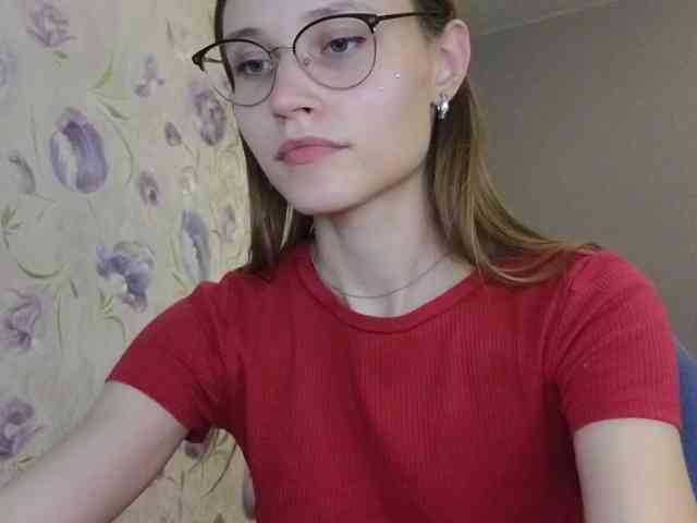 Armura webcam