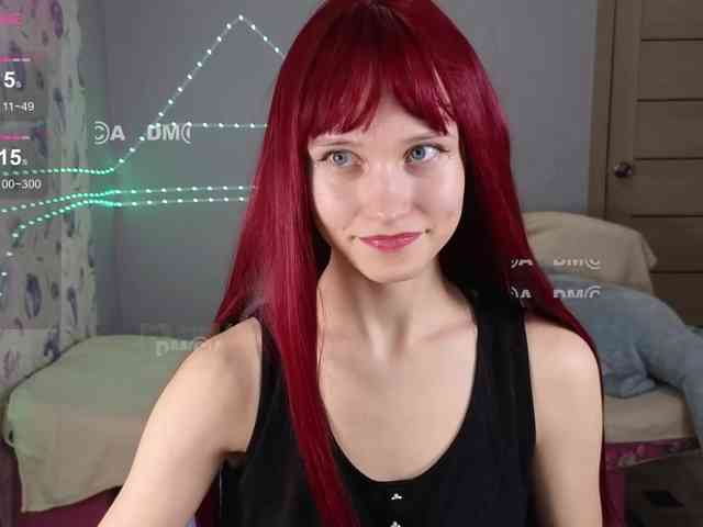 Armura webcam