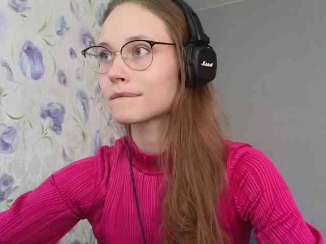 Armura webcam