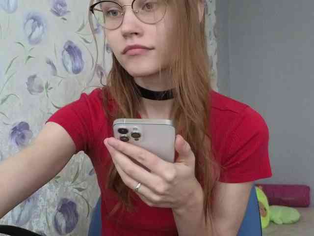 Armura webcam
