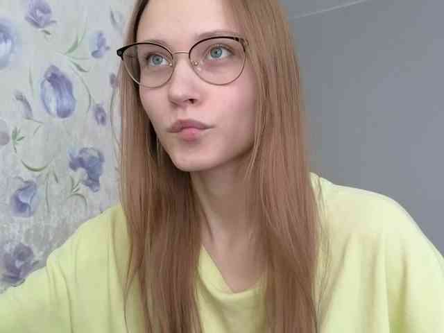 Armura webcam