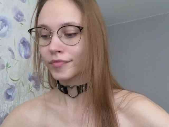 Armura webcam