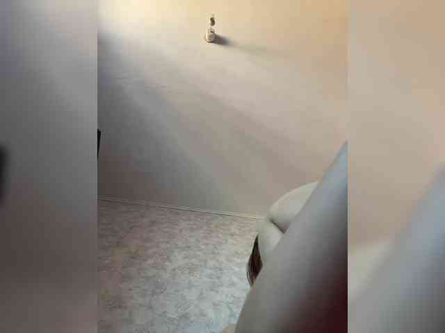 Armura webcam