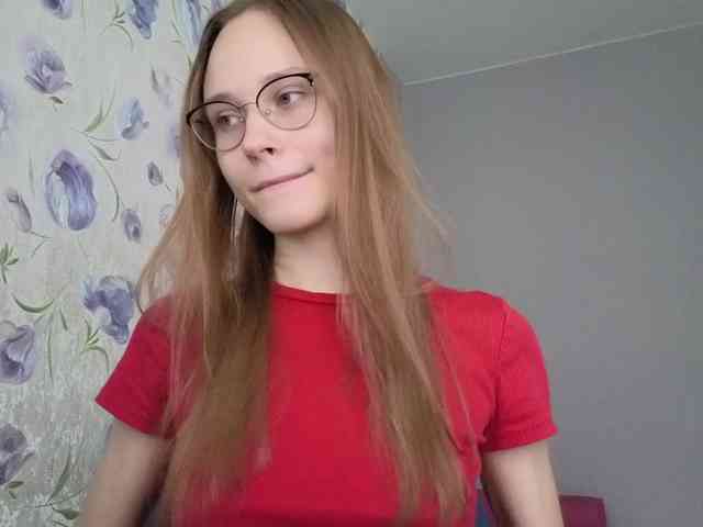 Armura webcam