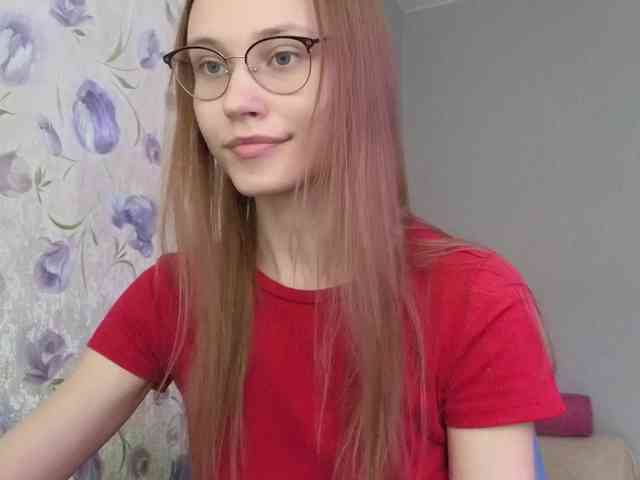 Armura webcam