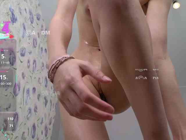Armura webcam