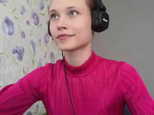 Armura webcam