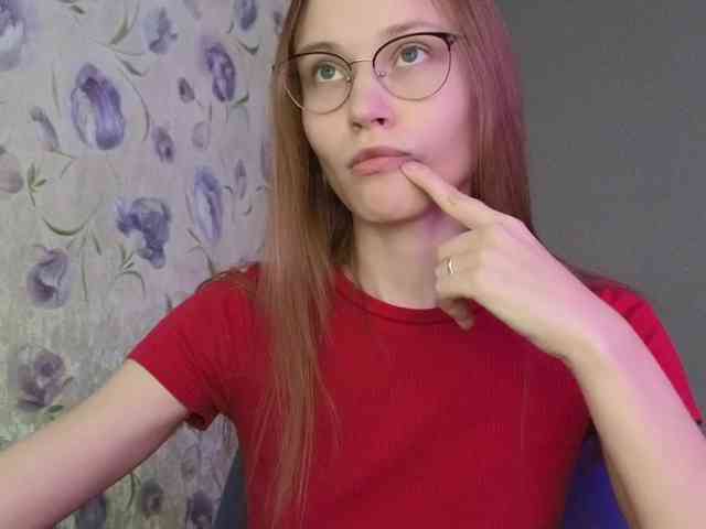 Armura webcam