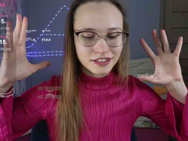 Armura webcam