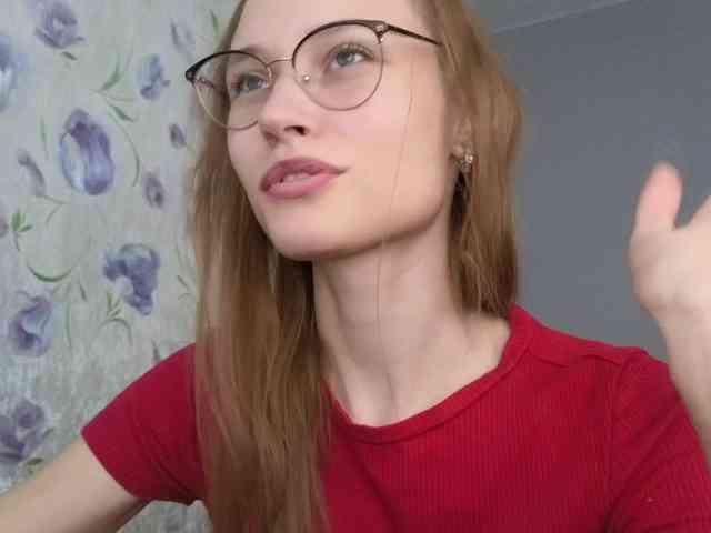 Armura webcam