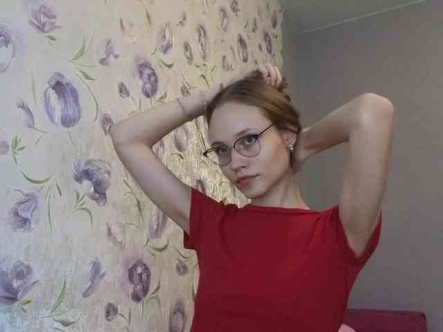 Armura webcam