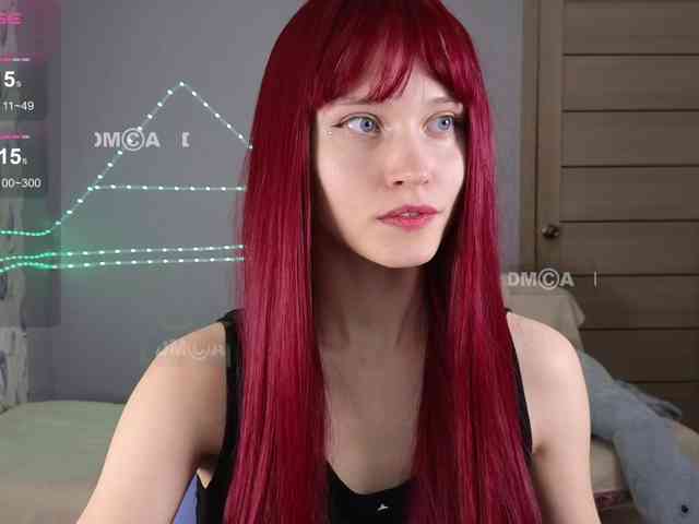 Armura webcam