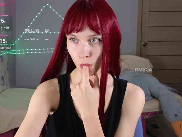 Armura webcam