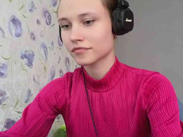 Armura webcam
