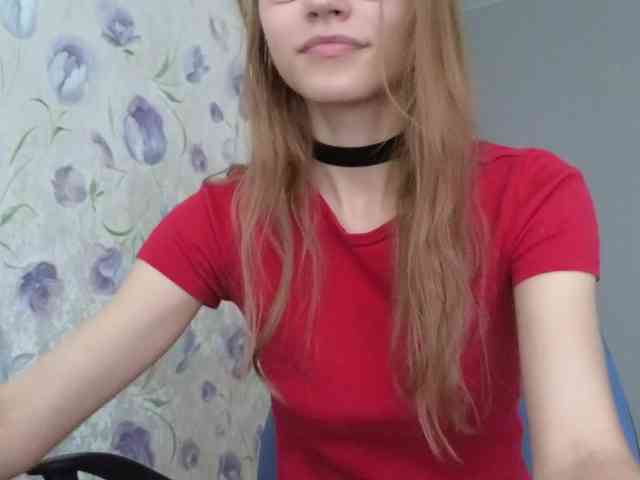 Armura webcam
