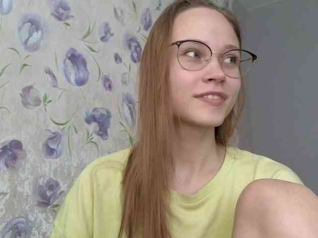 Armura webcam