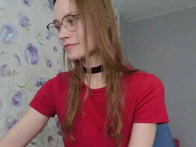 Armura webcam