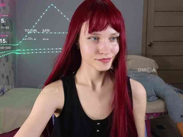Armura webcam
