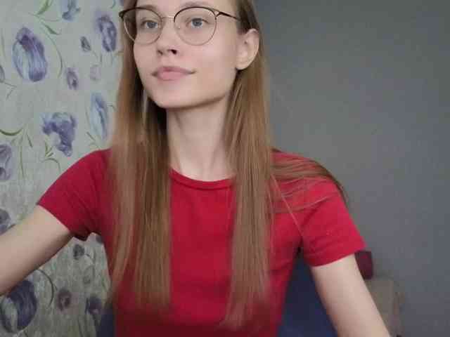 Armura webcam