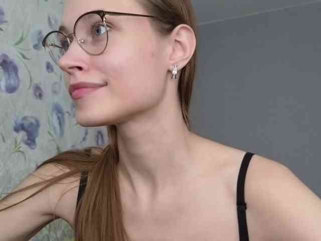 Armura webcam
