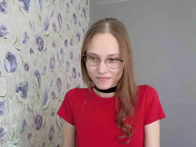 Armura webcam