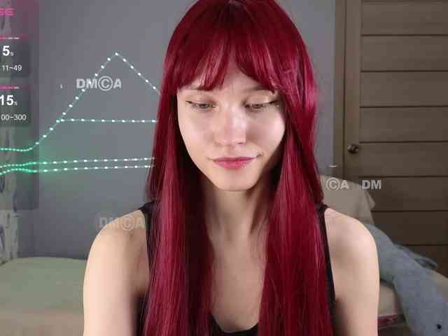 Armura webcam