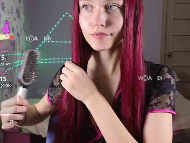 Armura webcam