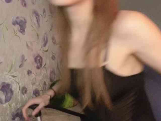 Armura webcam
