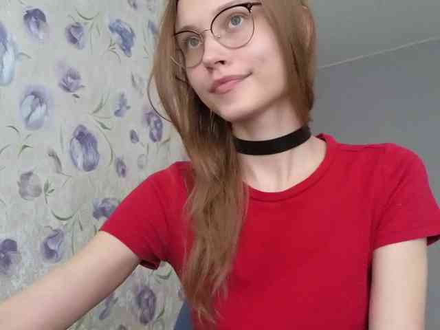 Armura webcam