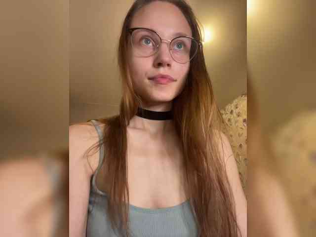 Armura webcam