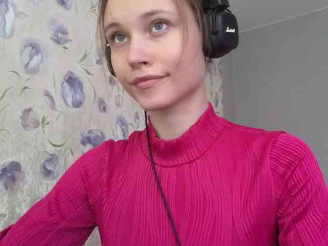 Armura webcam