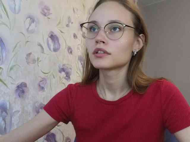 Armura webcam