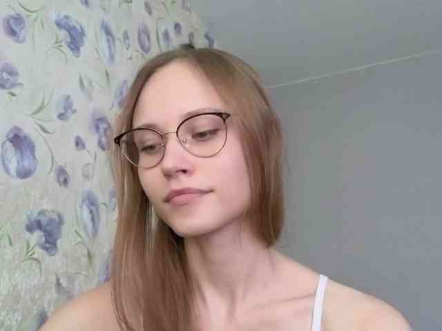 Armura webcam