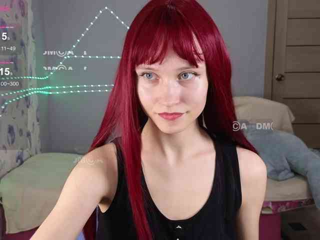 Armura webcam