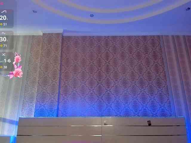 CassyHon webcam
