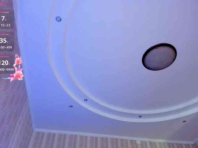 CassyHon webcam
