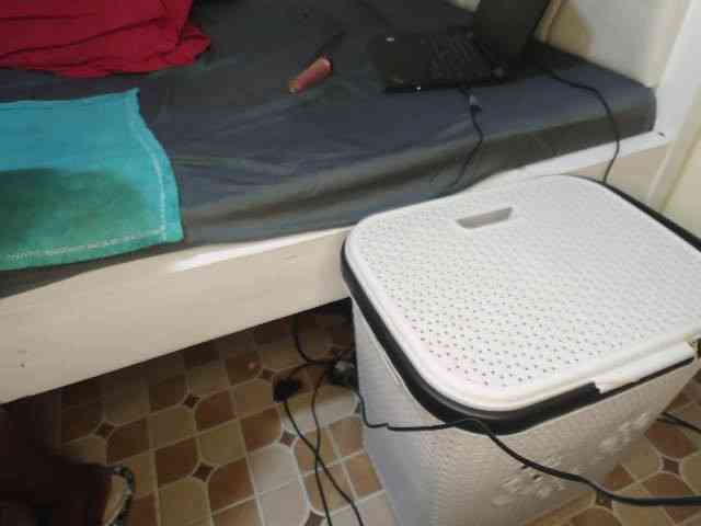 Abbylay webcam