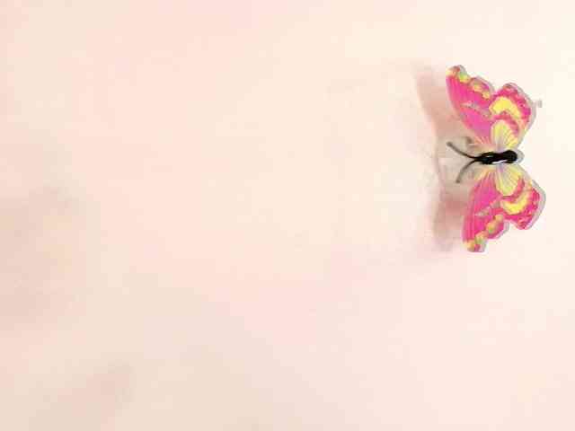 kimberlybellu webcam