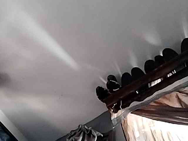 Mrdick78781