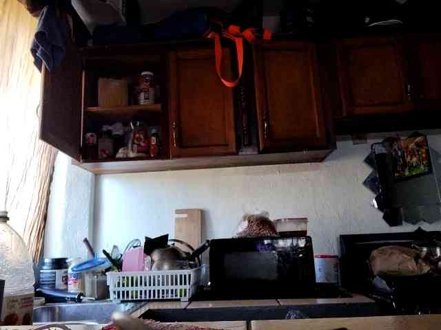 Mrdick78781 Mrdick78781