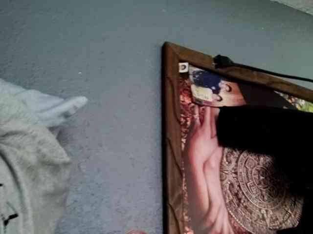 Mrdick78781 Mrdick78781