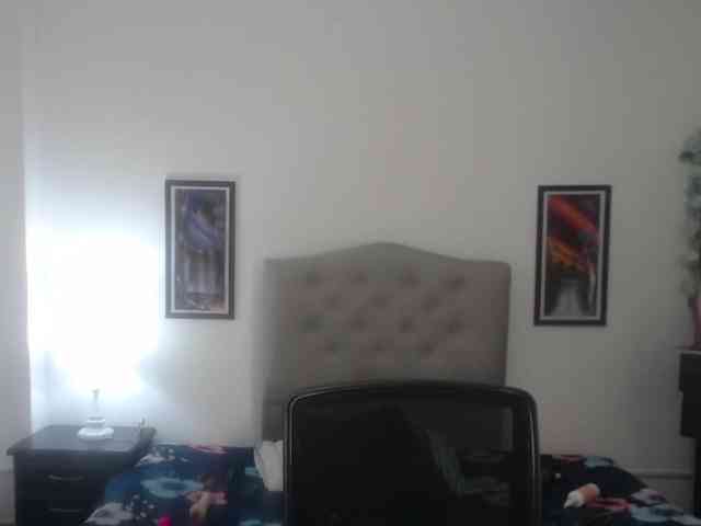 Adela-sheinbaum webcam