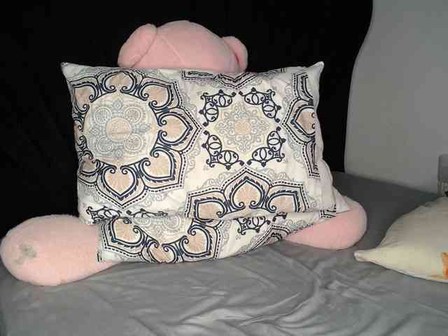 Cadercey254 webcam