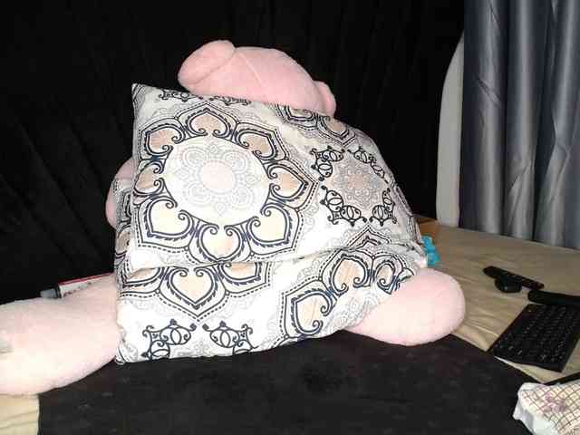 Cadercey254 webcam