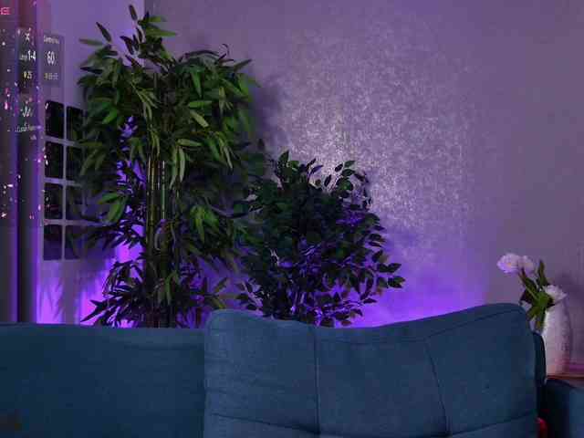 AmeliaMaris Live Webcam on BongaCams